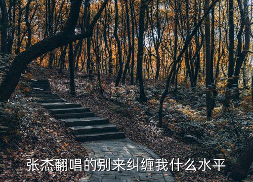 張杰翻唱的別來糾纏我什么水平