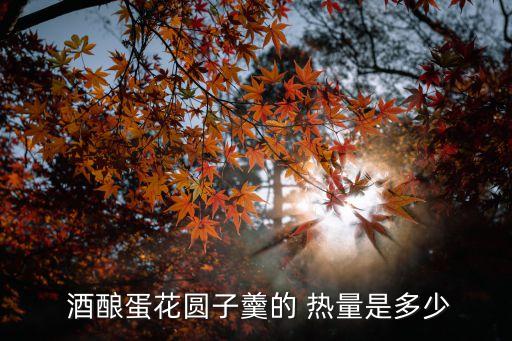 酒釀的熱量,米酒釀團圓熱量約占成年人每日攝入量12%