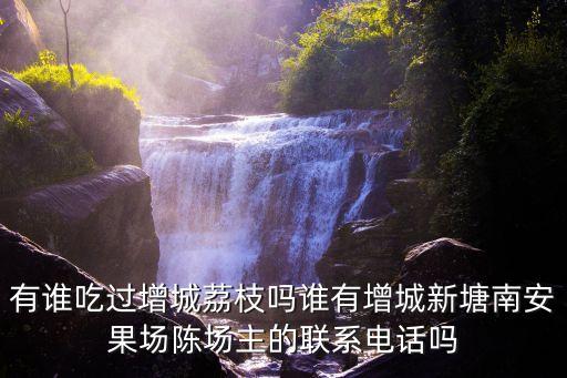 有誰吃過增城荔枝嗎誰有增城新塘南安果場陳場主的聯(lián)系電話嗎