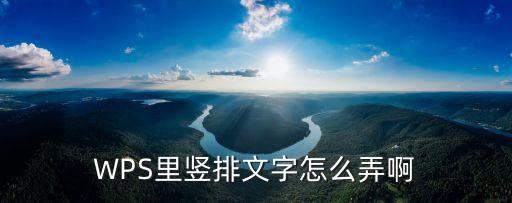 wps文字豎排，WPS怎么把選中的文字豎向排列
