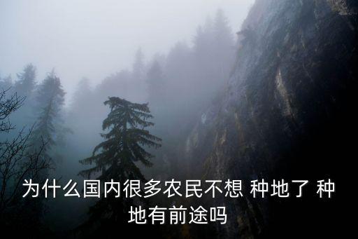 種地,種地有補(bǔ)貼政策農(nóng)民種地可獲一定數(shù)額補(bǔ)貼