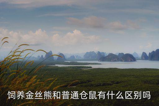 倉(cāng)鼠金絲熊，倉(cāng)鼠和金絲熊能在一起養(yǎng)嗎