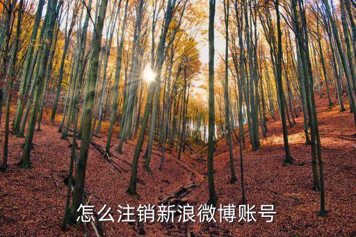 怎么注銷新浪微博賬號
