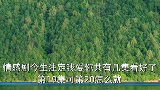 情感劇今生注定我愛你共有幾集看好了第19集可第20怎么就