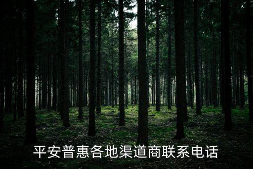 平安普惠各地渠道商聯(lián)系電話