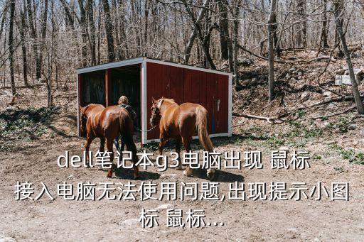  dell筆記本g3電腦出現(xiàn) 鼠標接入電腦無法使用問題,出現(xiàn)提示小圖標 鼠標...