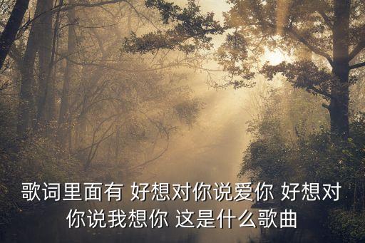 歌詞里面有 好想對你說愛你 好想對你說我想你 這是什么歌曲