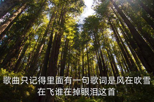 歌曲只記得里面有一句歌詞是風(fēng)在吹雪在飛誰在掉眼淚這首