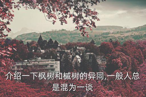 介紹一下楓樹和槭樹的異同,一般人總是混為一談