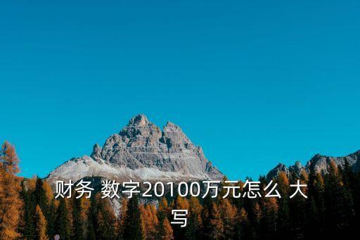 財務大寫數字,大寫金額數字應標有人民幣字樣