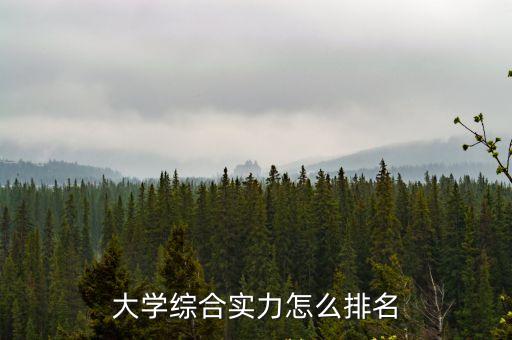 大學綜合排名，大學綜合實力排名