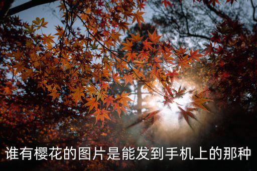 誰有櫻花的圖片是能發(fā)到手機(jī)上的那種
