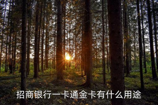 招商銀行一卡通金卡，招商銀行一卡通金卡有什么用途