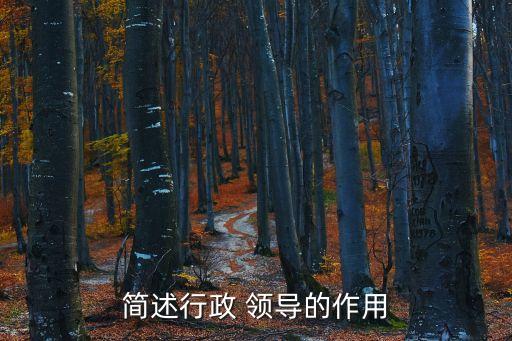 領導的作用,領導團隊的角色:領導是組織核心不是個人代表