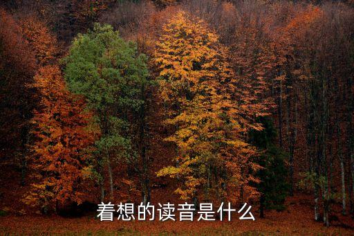著想的讀音是什么