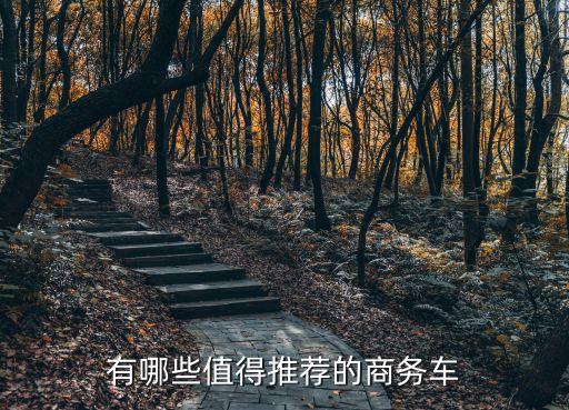 有哪些值得推薦的商務車