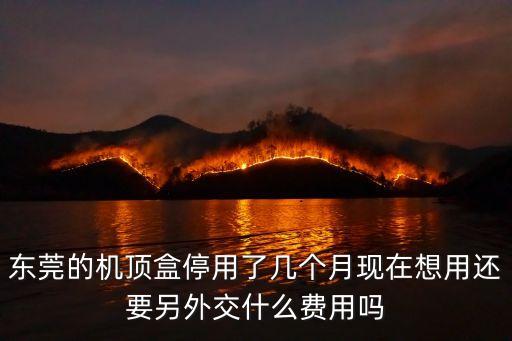 東莞機頂盒停用費用，東莞的機頂盒停用了幾個月現在想用還要另外交什么費用嗎
