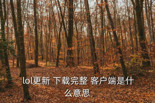 lol客戶端下載,游戲出現病例如何恢復正常運作?