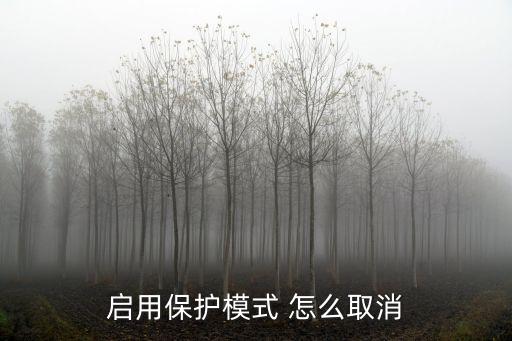 啟用保護(hù)模式 怎么取消