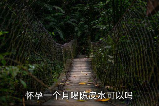 懷孕一個月喝陳皮水可以嗎