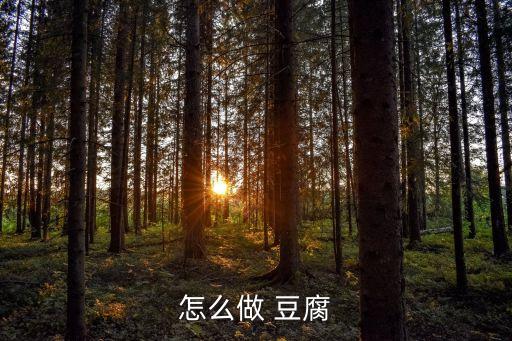 怎么做 豆腐