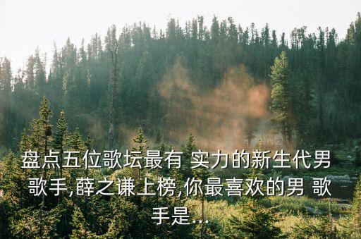 實力歌手,我覺得第一行歌手有這么多?