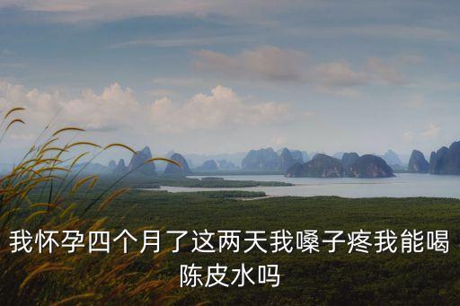我懷孕四個月了這兩天我嗓子疼我能喝陳皮水嗎