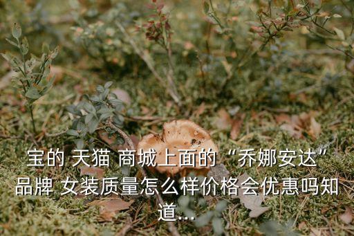 寶的 天貓 商城上面的“喬娜安達”品牌 女裝質量怎么樣價格會優惠嗎知道...