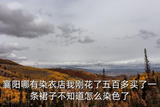 襄陽哪有染衣店我剛花了五百多買了一條裙子不知道怎么染色了