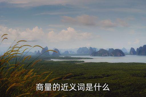 商量近義詞，商量的近義詞是什么