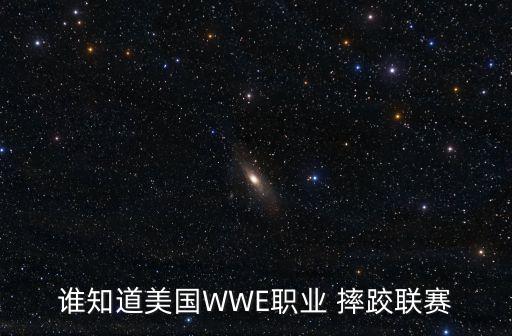 美國摔跤最新比賽,美式摔跤歷史悠久比賽風(fēng)格獨特