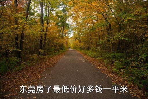 東莞房子最低價好多錢一平米