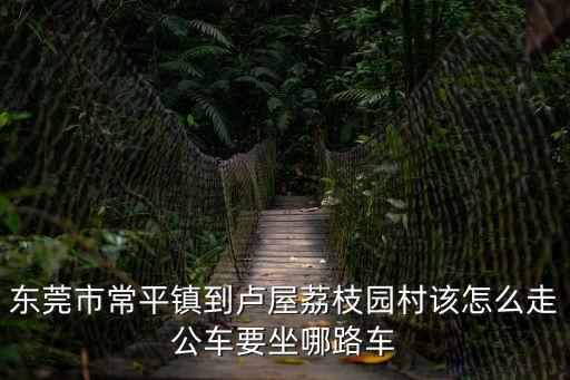 東莞市常平鎮到盧屋荔枝園村該怎么走公車要坐哪路車