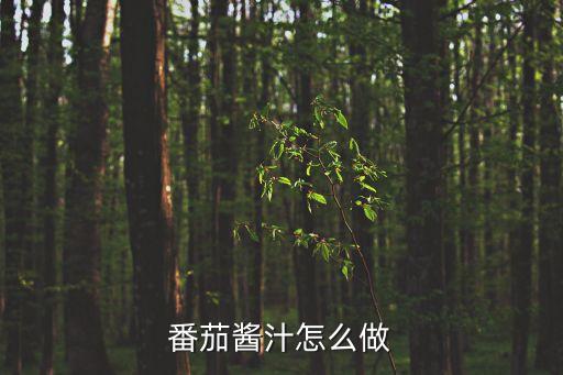 怎樣做西紅柿醬,西紅柿不加冰糖自制番茄醬做法1