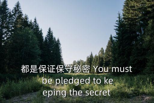 都是保證保守秘密 You must be pledged to keeping the secret