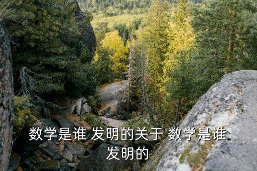 數(shù)學(xué)是誰發(fā)明的,南北朝時期中國數(shù)學(xué)家創(chuàng)作數(shù)學(xué)名稱