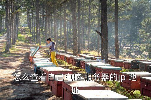 服務器地址怎么查,怎么查看網站的ip地址?