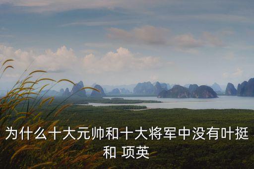 為什么十大元帥和十大將軍中沒(méi)有葉挺和 項(xiàng)英