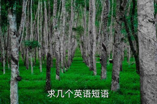 短語(yǔ)大全，誰(shuí)能幫我找?guī)讉€(gè)短語(yǔ)