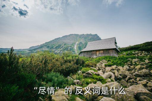 約束的反義詞,限制性"反義詞就是"縱容"