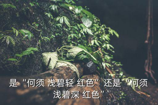 何須淺碧輕紅色,為什么淺碧輕紅色是一流的花