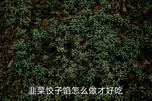 韭菜餡怎么調好吃，韭菜肉餡兒怎么調好吃
