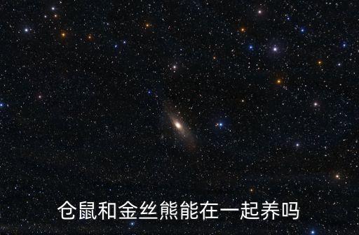 倉鼠和金絲熊能在一起養嗎