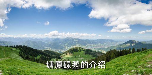 東莞菜市場(chǎng)的鹵水鵝是用哪種鵝，東莞最正宗燒鵝瀨