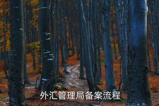  外匯管理局備案流程