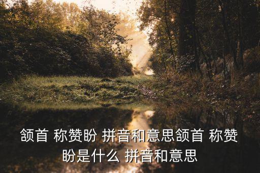 頷首 稱贊盼 拼音和意思頷首 稱贊盼是什么 拼音和意思