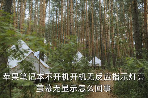 蘋果筆記本不開機(jī)開機(jī)無(wú)反應(yīng)指示燈亮螢?zāi)粺o(wú)顯示怎么回事