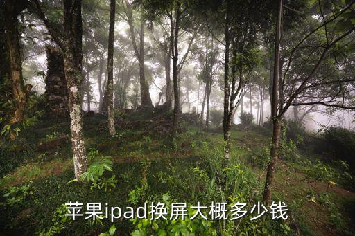 蘋果ipad換屏大概多少錢
