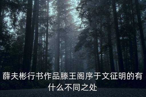 薛夫彬行書作品滕王閣序于文征明的有什么不同之處