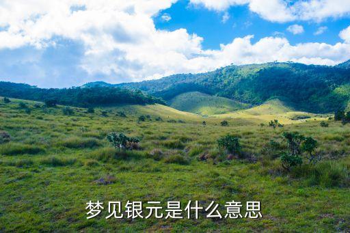 夢見銀元，夢見得到一塊銀元